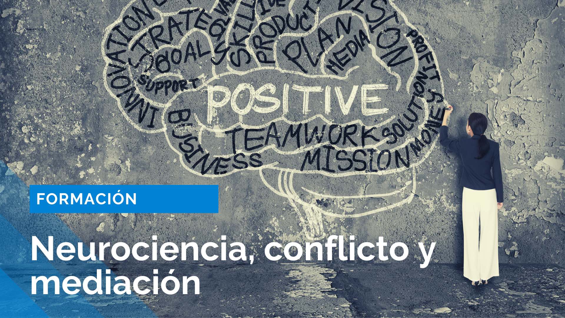 Curso Neurociencia, conflicto y mediación